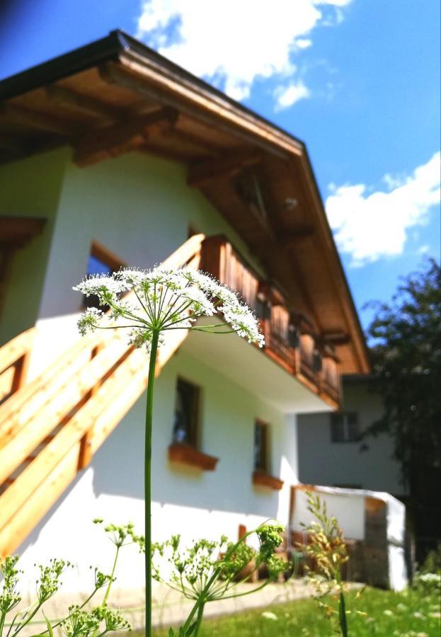Ferienwohnung Auenheim Innervillgraten Exterior foto